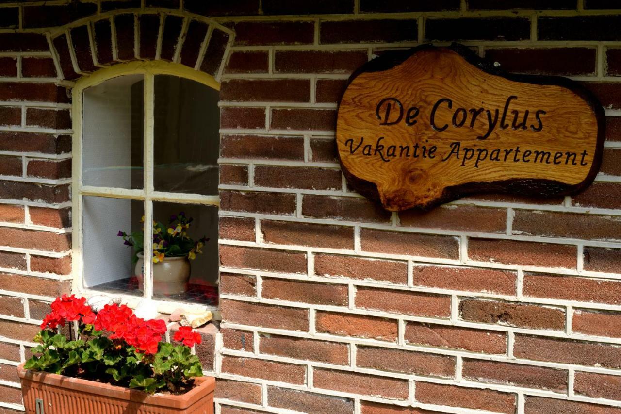 De Corylus Vakantie Appartement Oosterhesselen Exterior foto